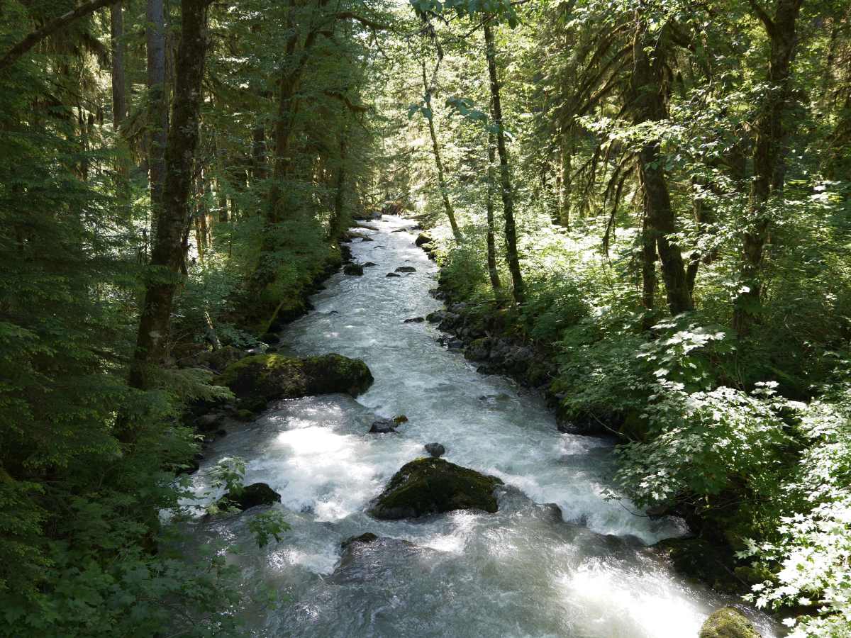 Marten Lake photo 3