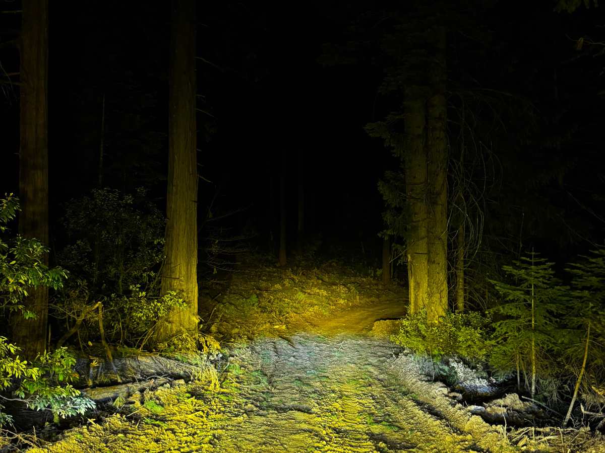 Ditch Road trail photo