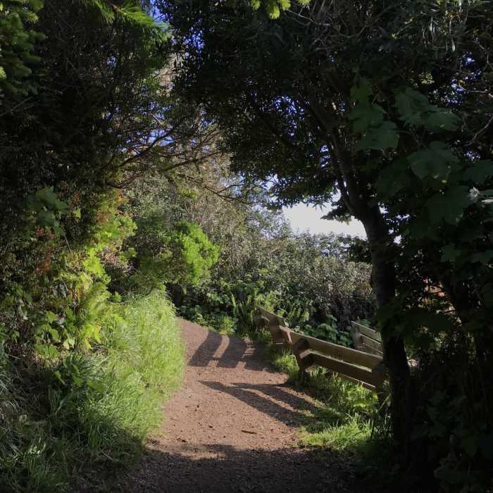 Near Trinidad Head Trail