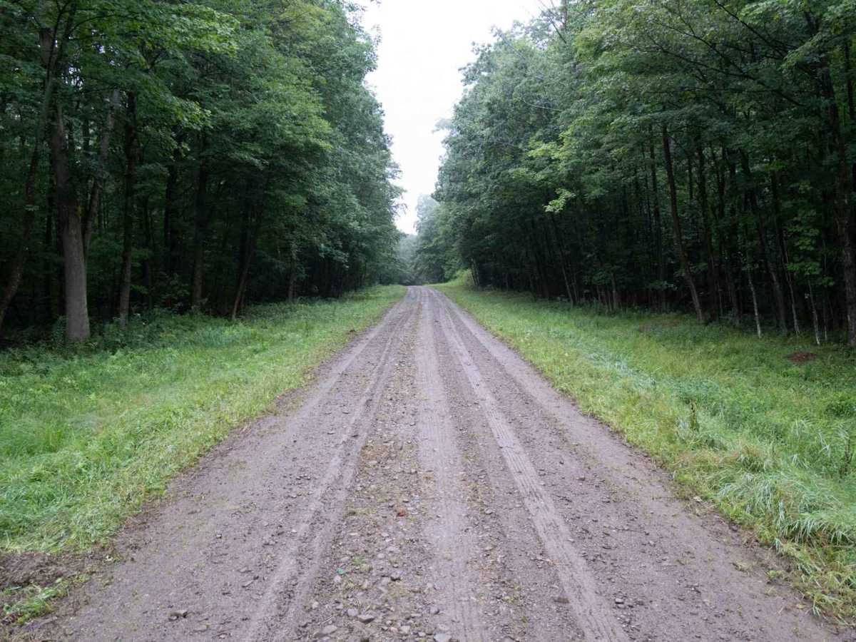Eckert Road photo 3