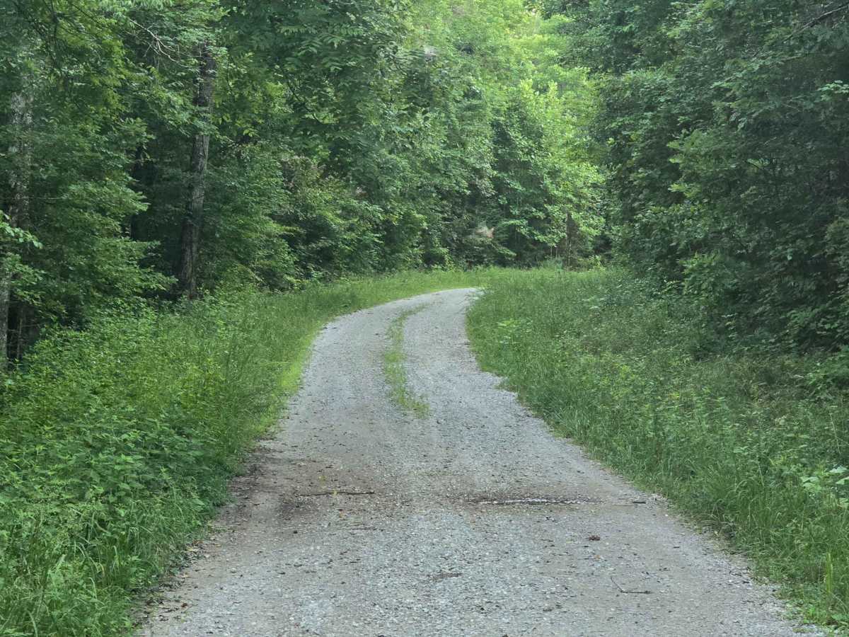 Joe Branch Road photo 3