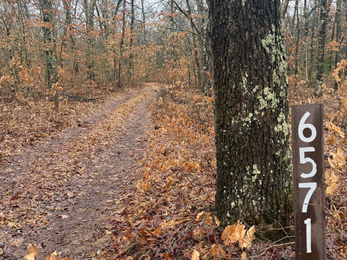 FS 6571 trail photo