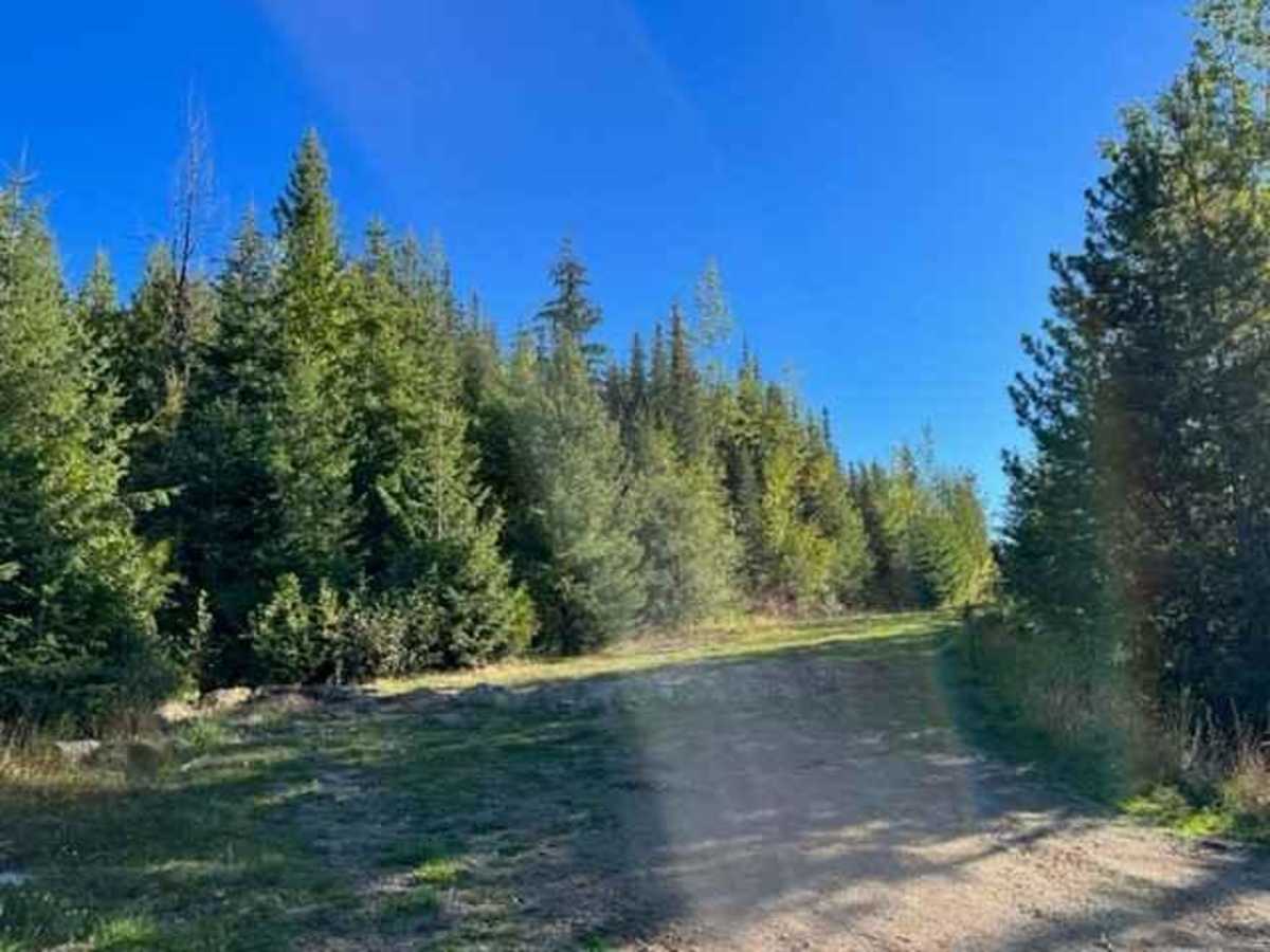 Johnson Lake to High Elevation Camp Site trail photo