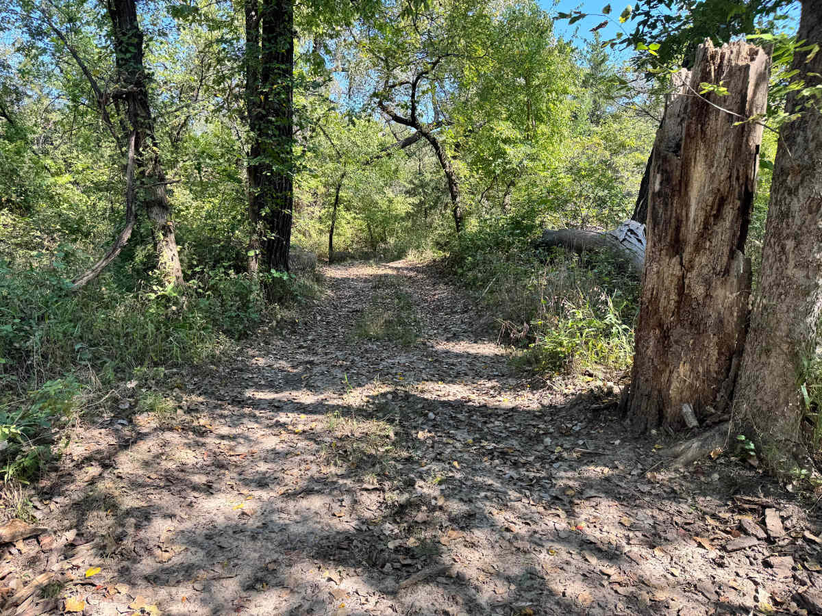 Ranger Danger trail photo