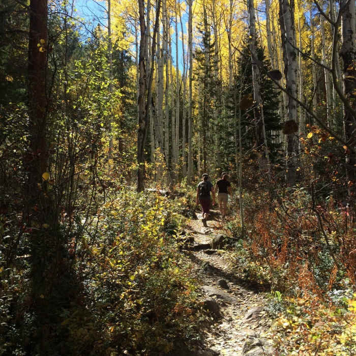 Aspens near the start of Difficult Creek Trail Near Difficult Creek Trail