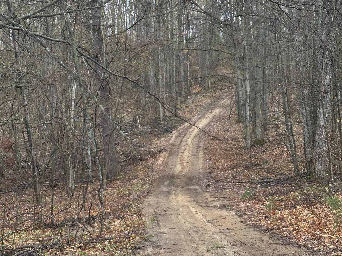 Hayesego Loop Around  photo 3
