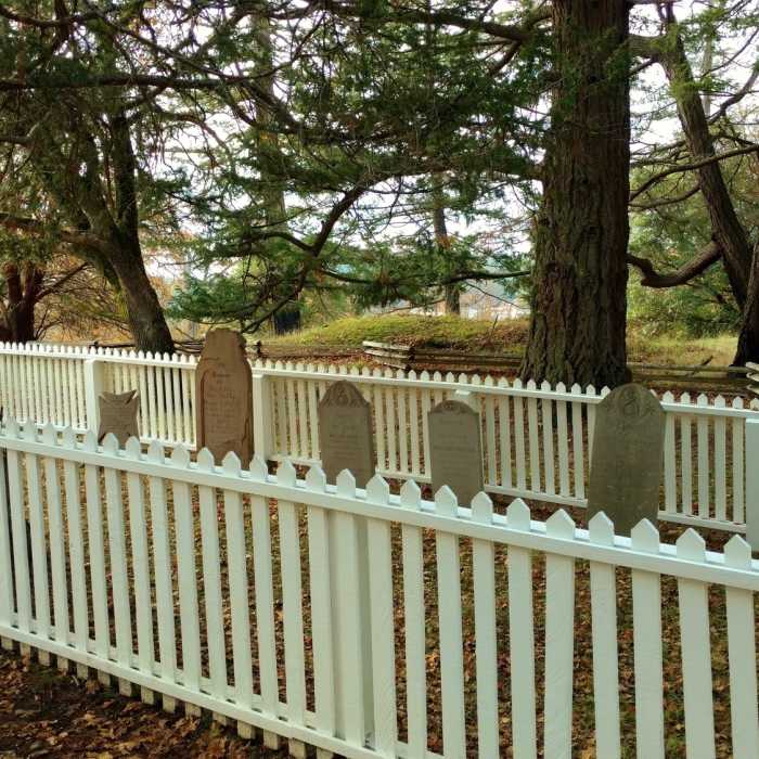 Near Young Hill Trail