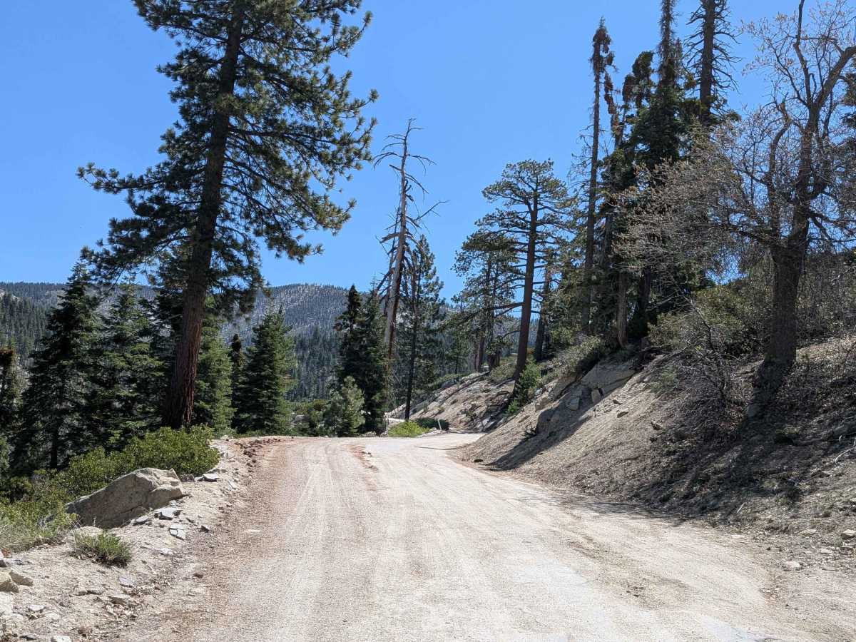 Cherry Hill Road North - FS 22S12 trail photo
