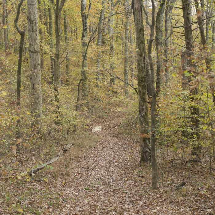 Near Bunkum Cave Loop Trail