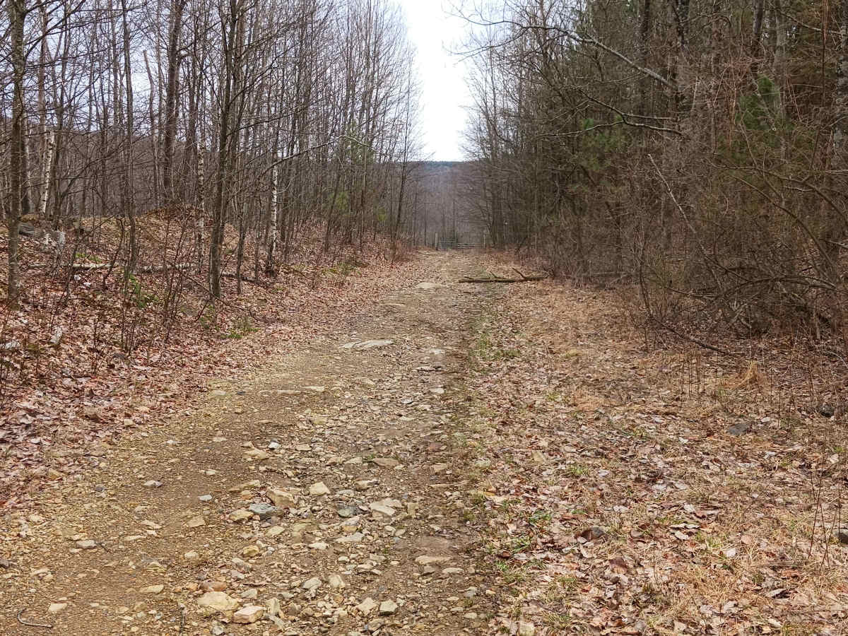 Rocky Run - Rock Run Recreation Area trail photo
