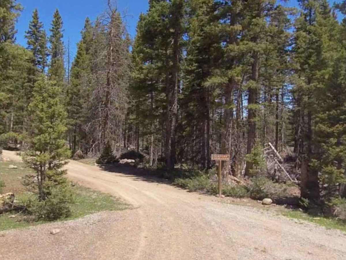 Poison Creek ATV Trail - 34003 photo 3
