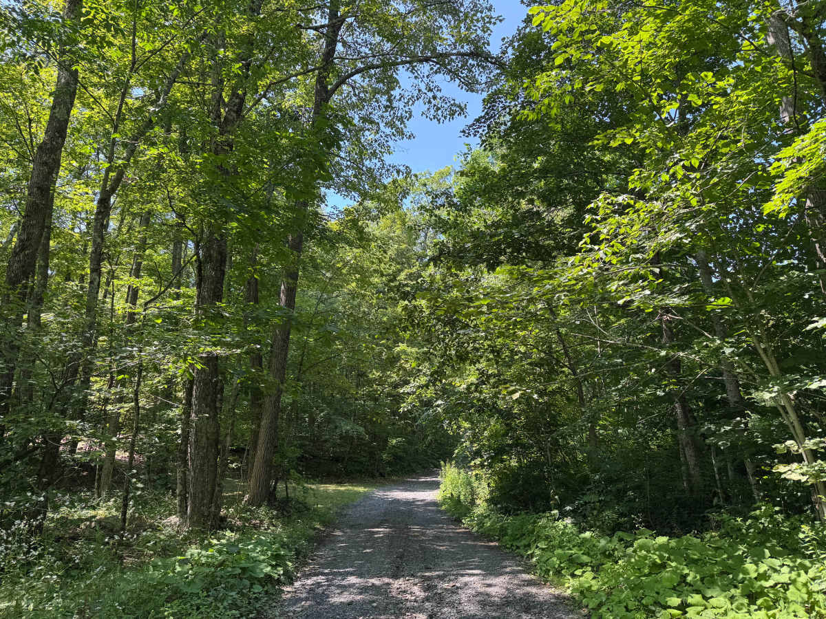 Burnt Hill Road photo 2