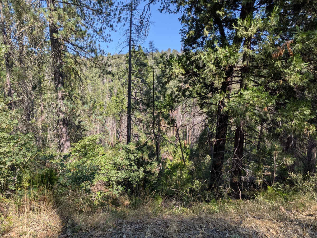 Jordan Creek Road - FS 2S17 photo 4