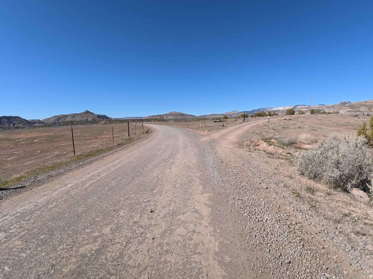 BLM 281 photo 6