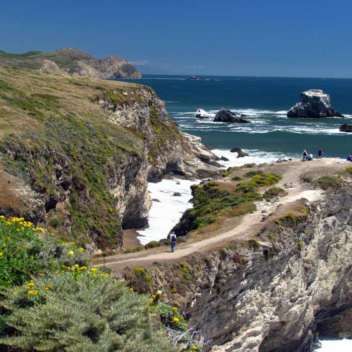 Near Mount Wittenberg and Bear Valley Loop