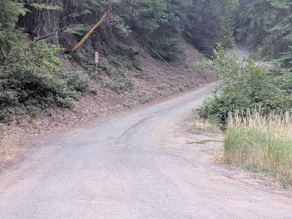 McFarland Ridge Road - FS 29N25 trail photo