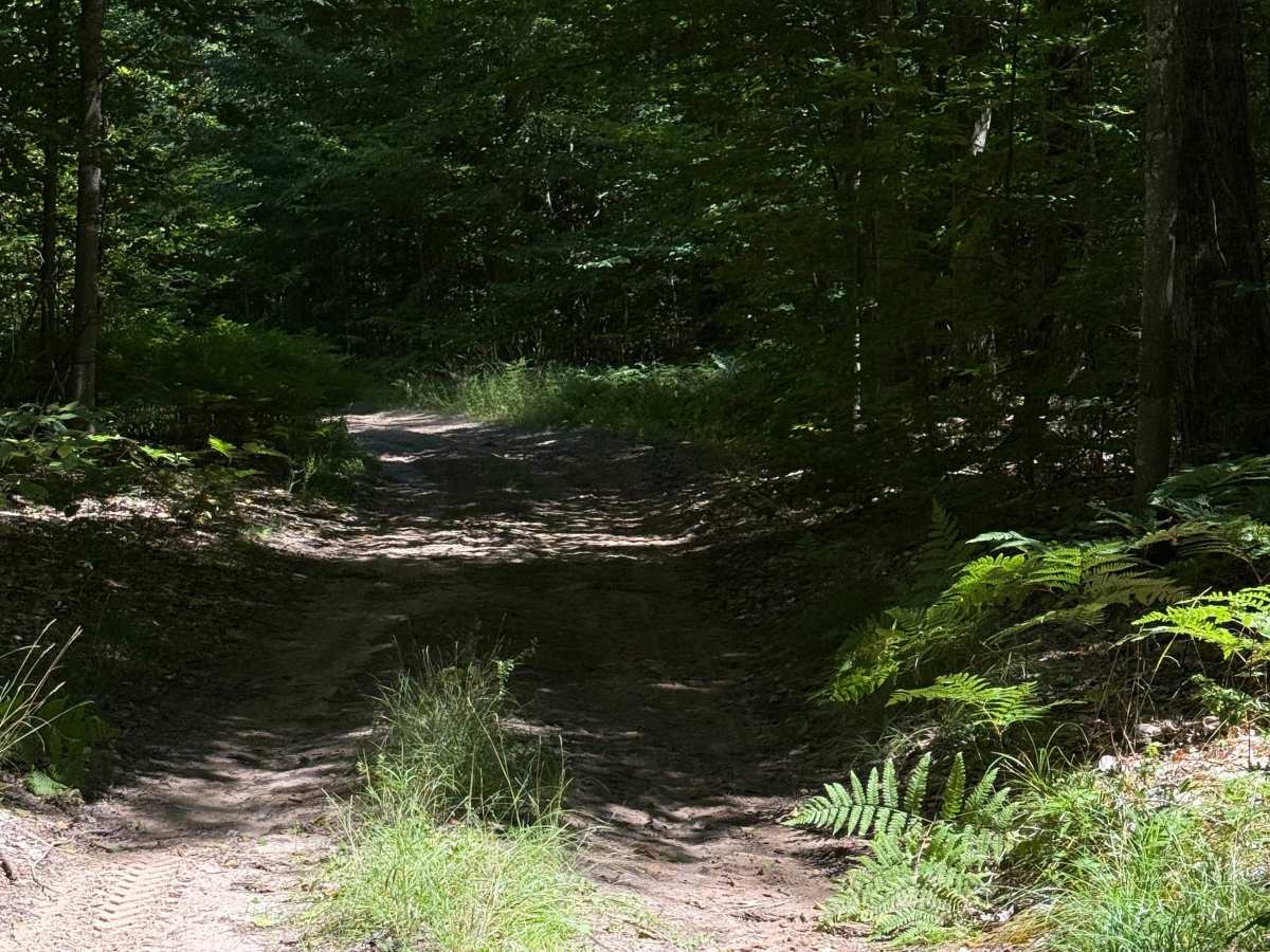 Big 4-Norconk Connector Trail photo 5