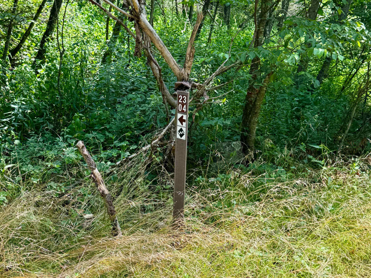 2304 Black trail photo