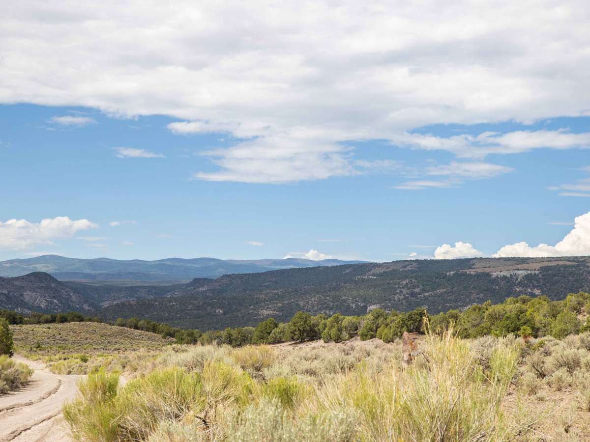 Teah Flat Road photo 5