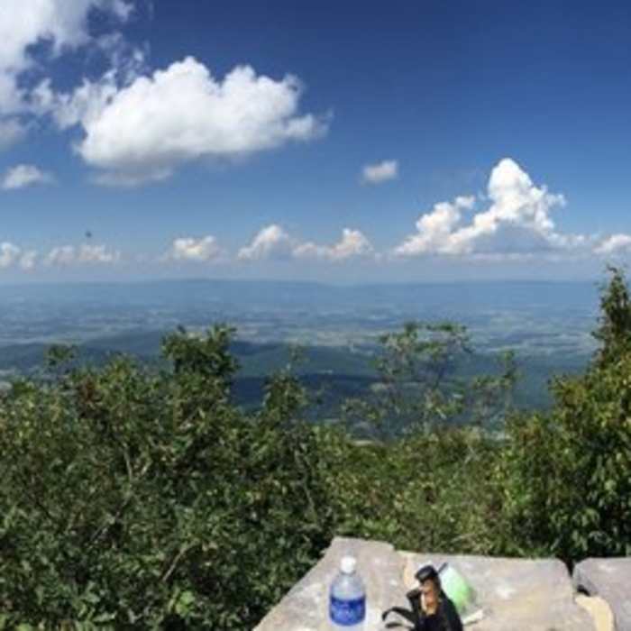 Near Millers Head Trail