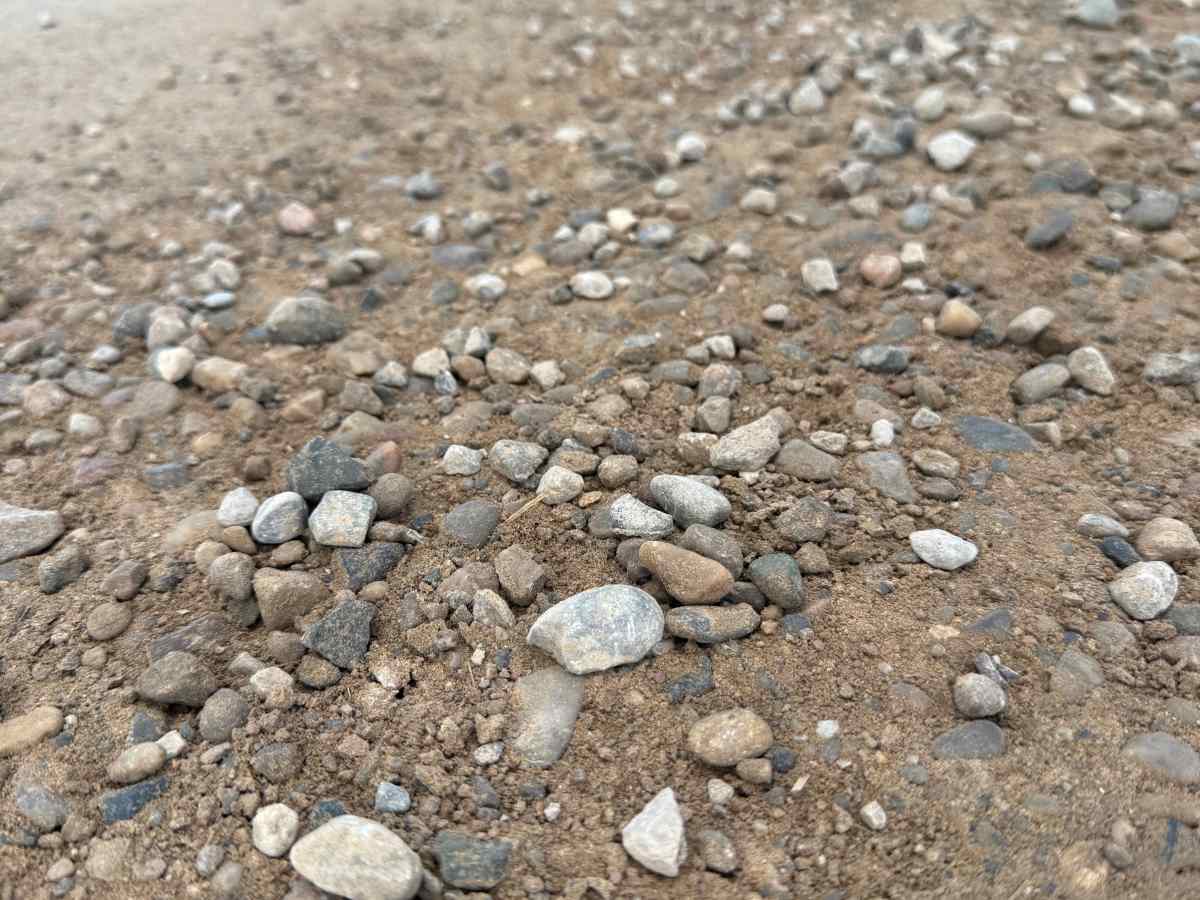 Loveland Trail photo 2