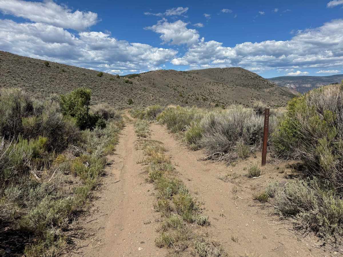 BLM 8535 photo 2