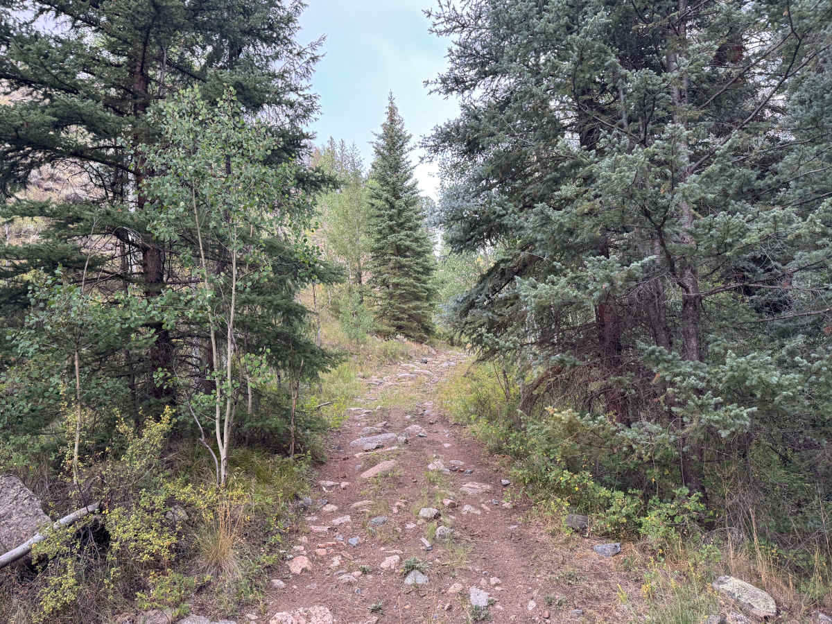 East Willow Creek photo 2