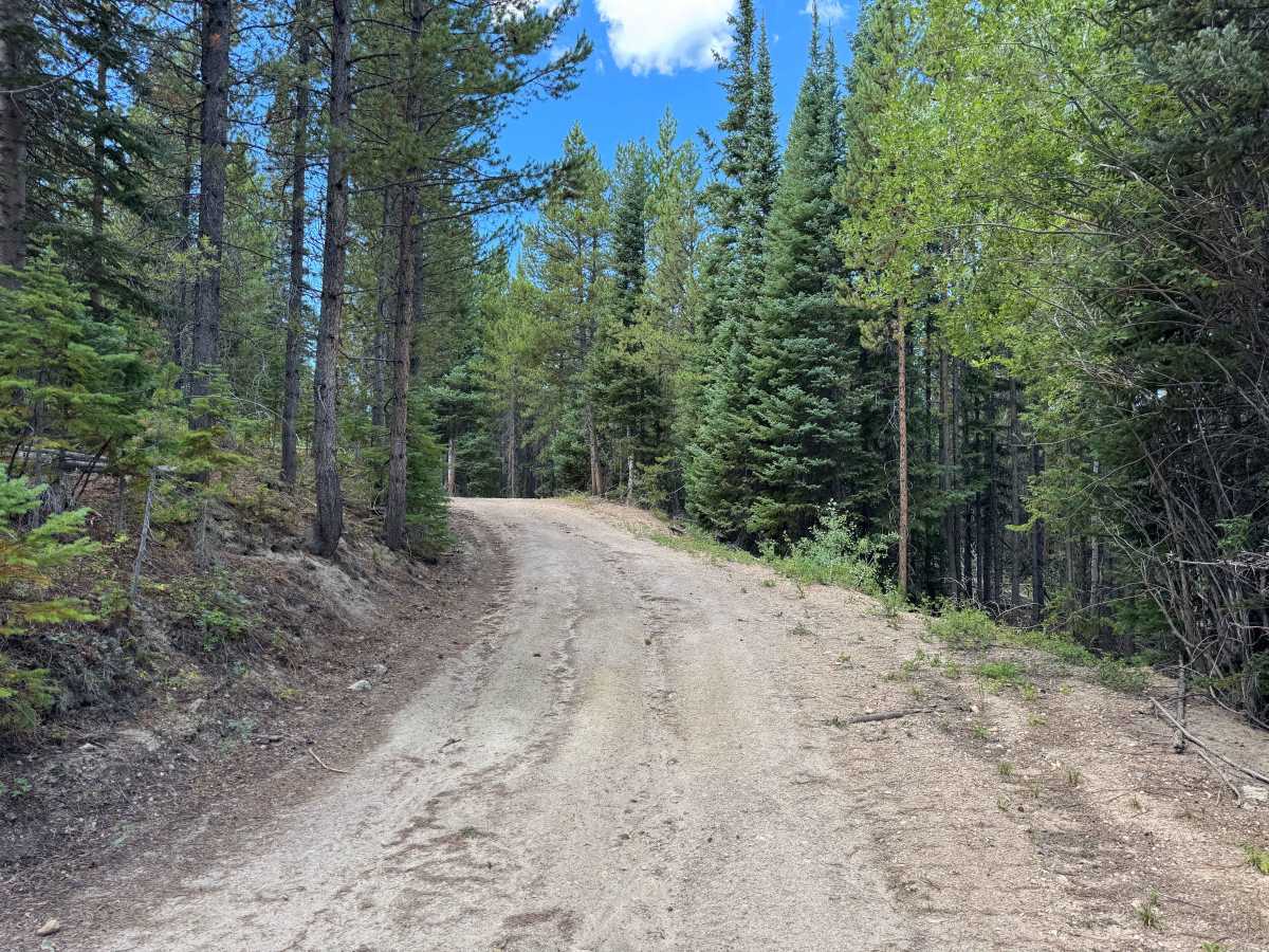 Hump Road photo 3