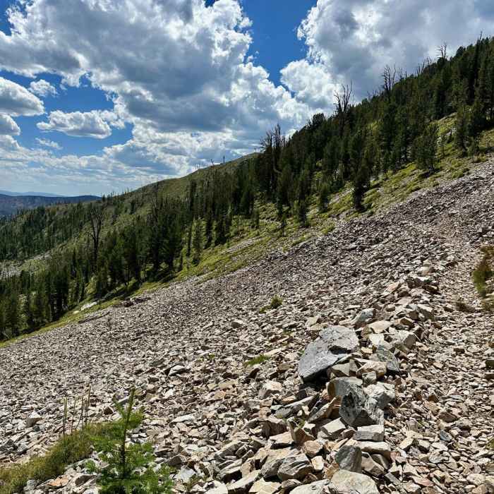 Near Continental Divide Trail: Montana-Idaho Section 14