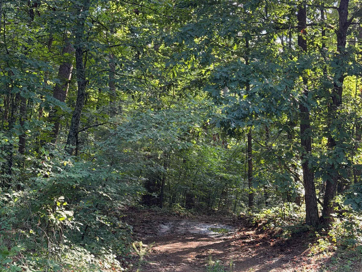Perscillas Trail photo 4