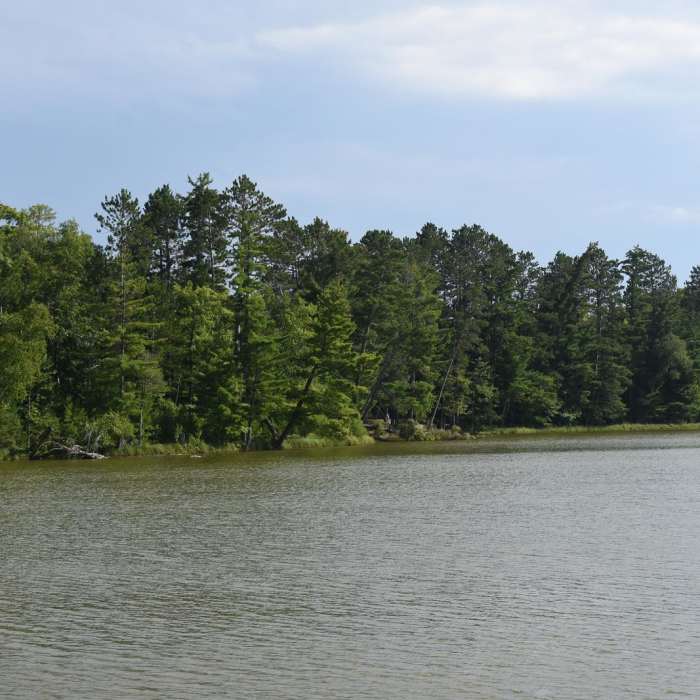 Near Loon Lake Trail