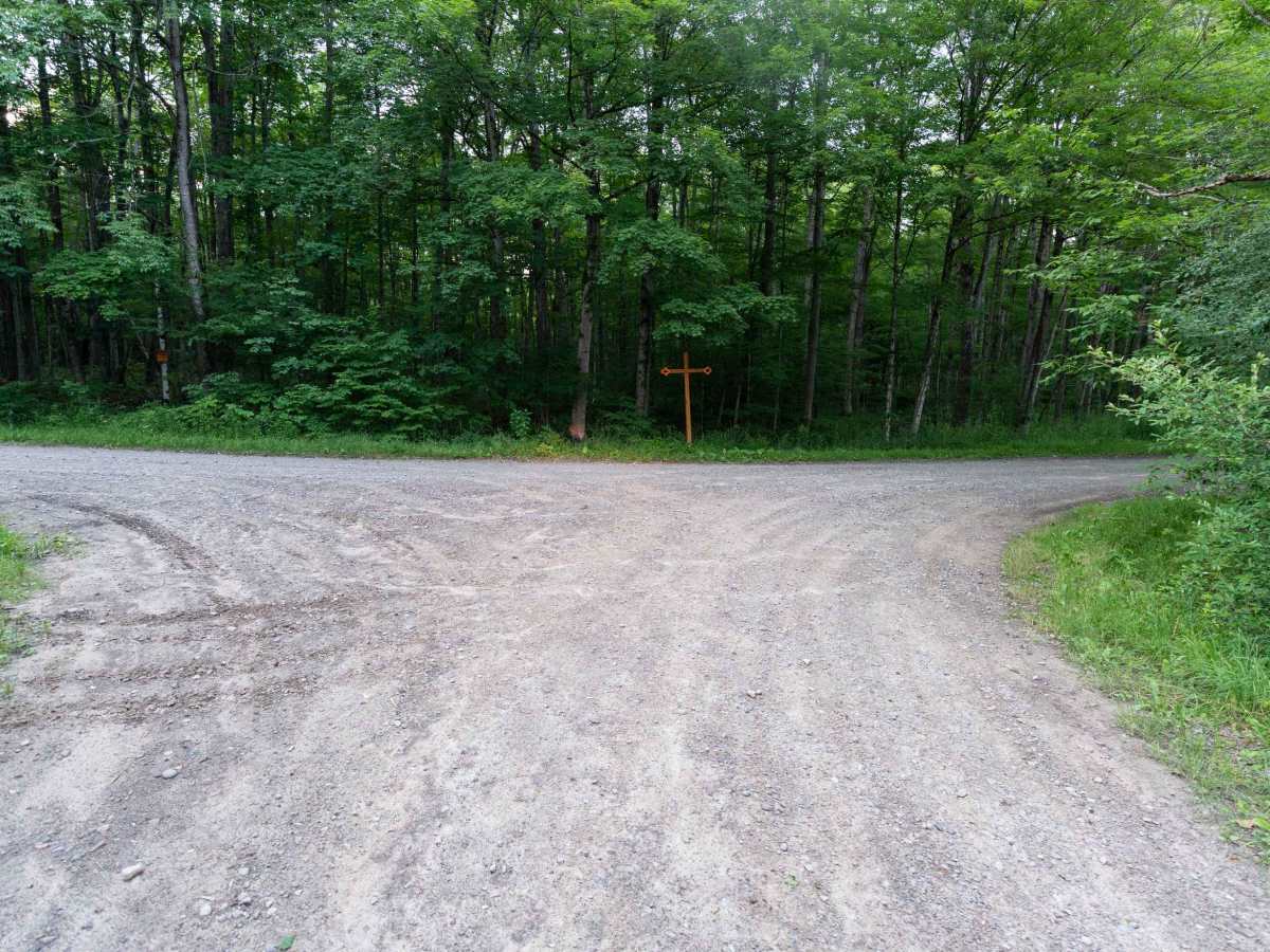 Norton Forest Road photo 6