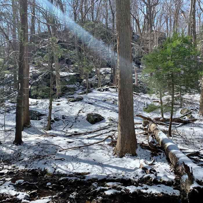 Near Meyer Preserve Full Perimeter