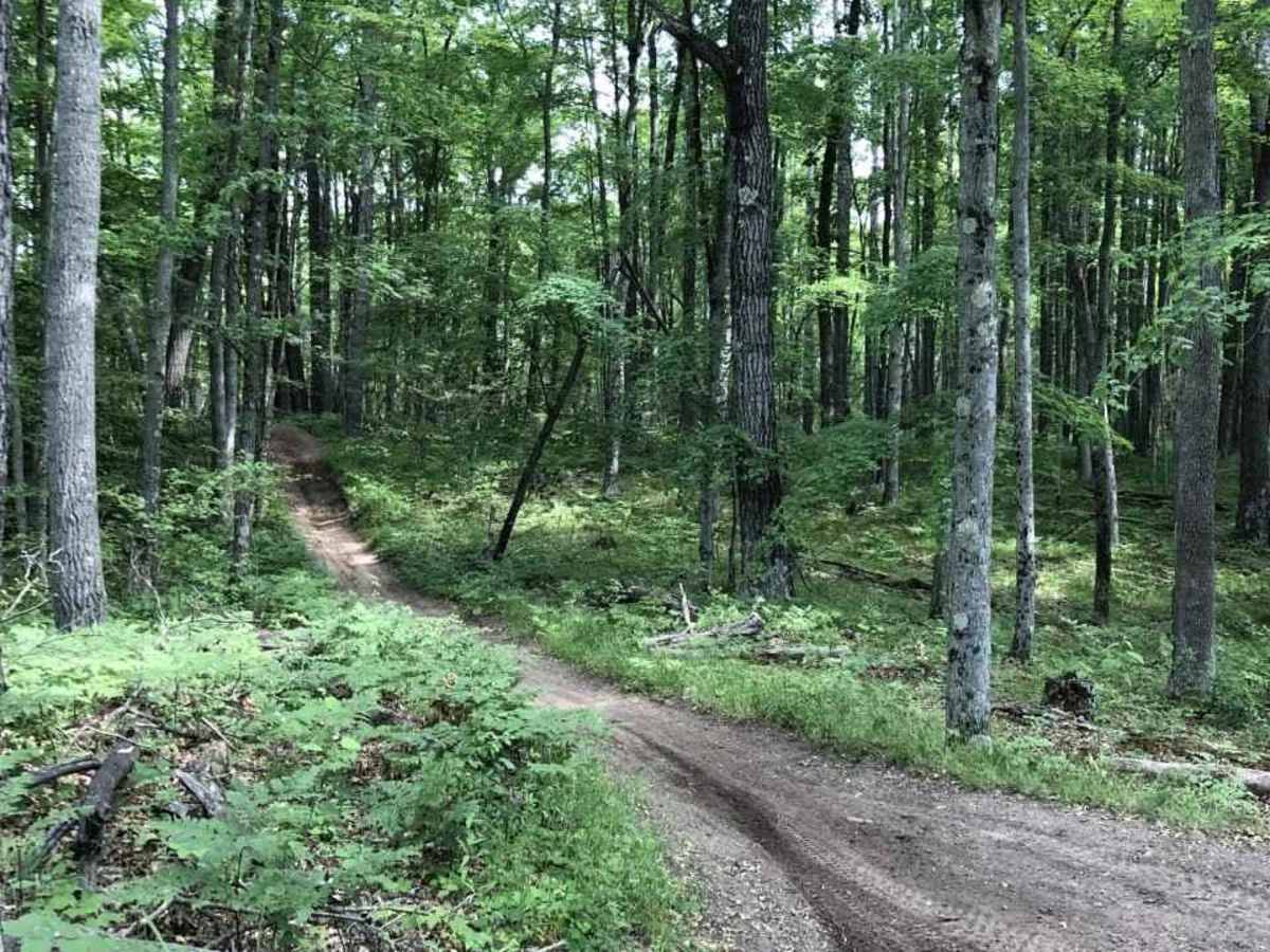 M-20 Motorsport Trail photo 2