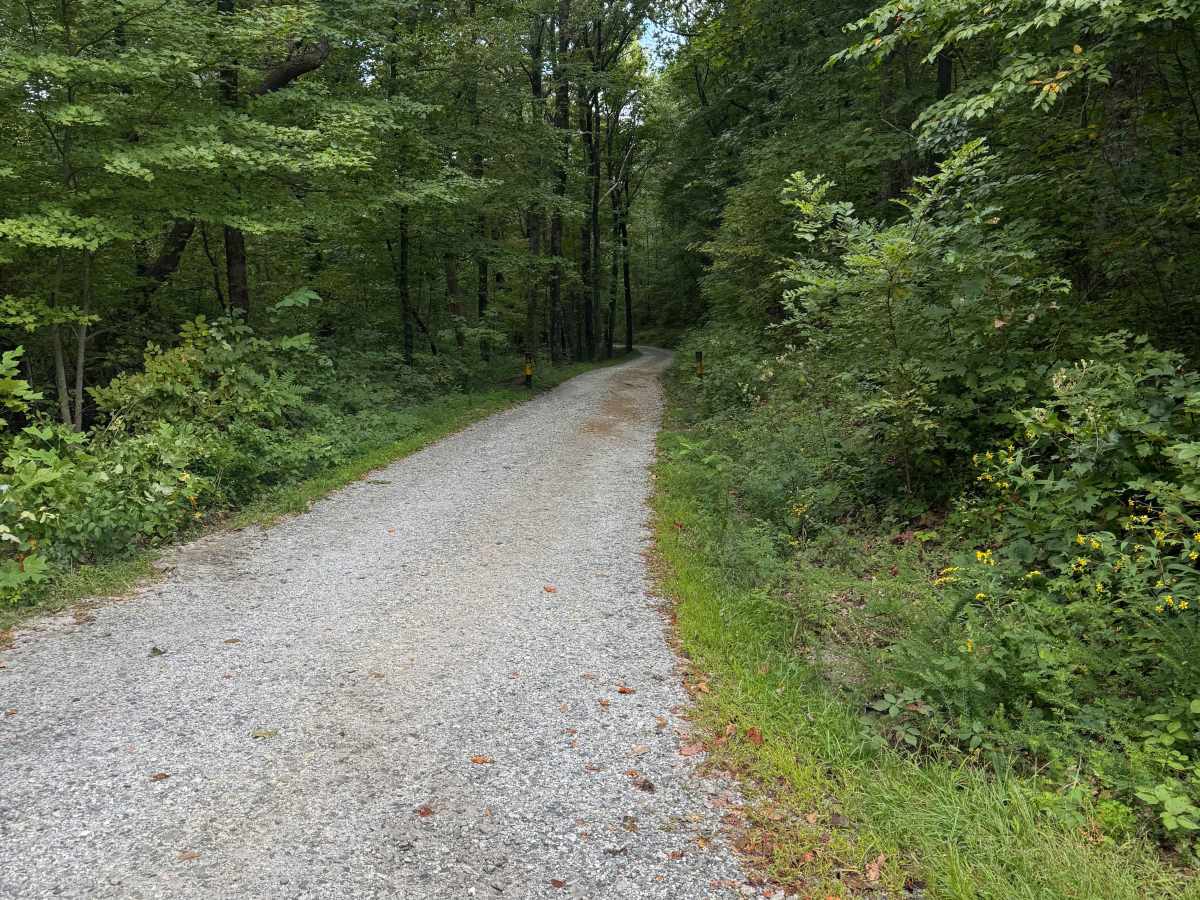 Dockey Lake Recreation Area Trail trail photo