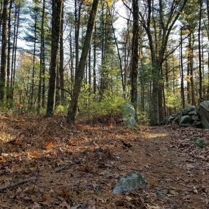 Near Eight Mile Tour