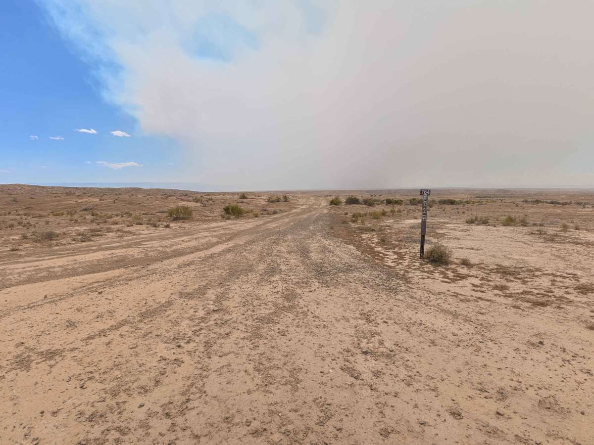 BLM 164 photo 5