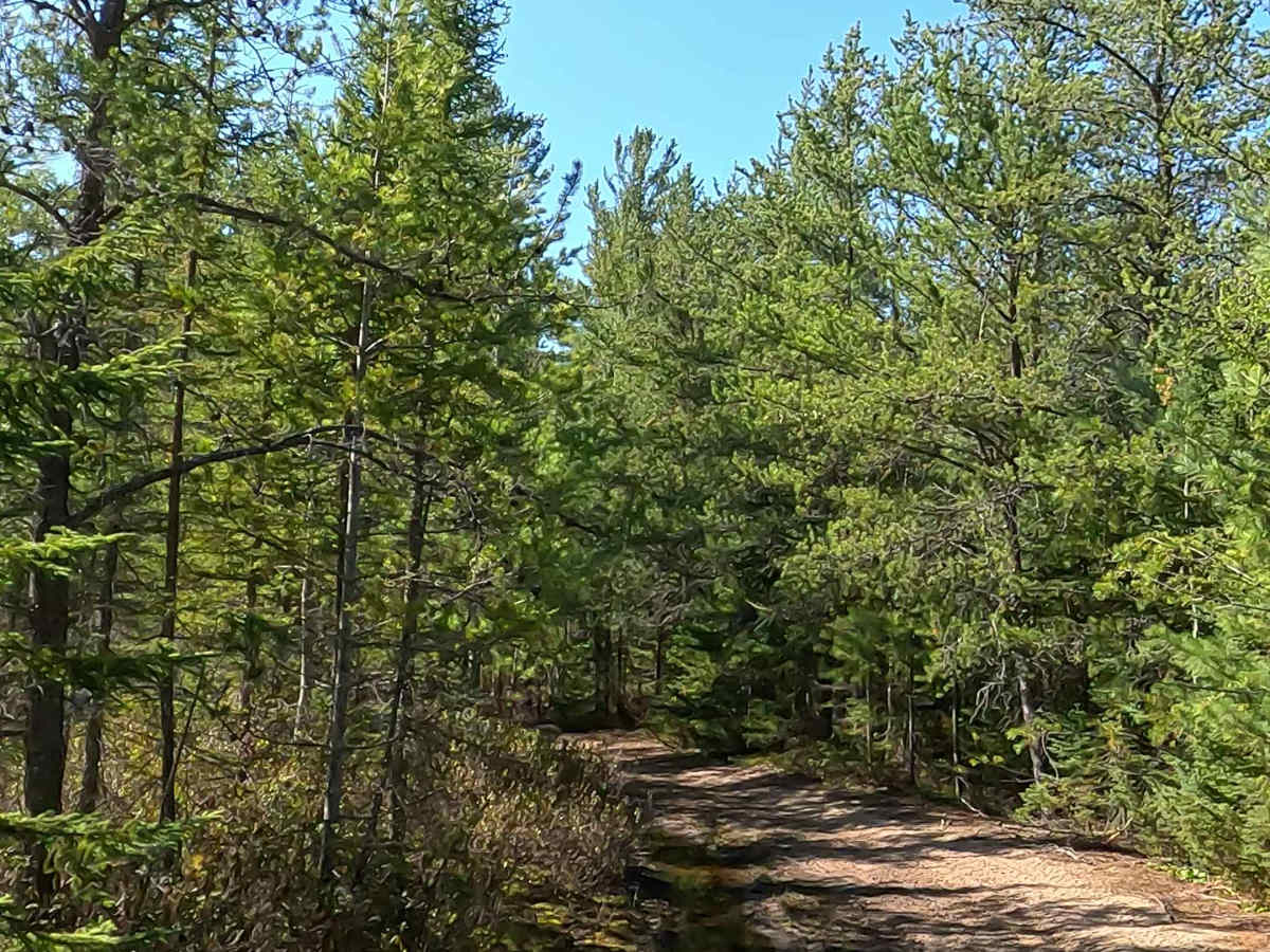 North Beaver Road - West photo 5