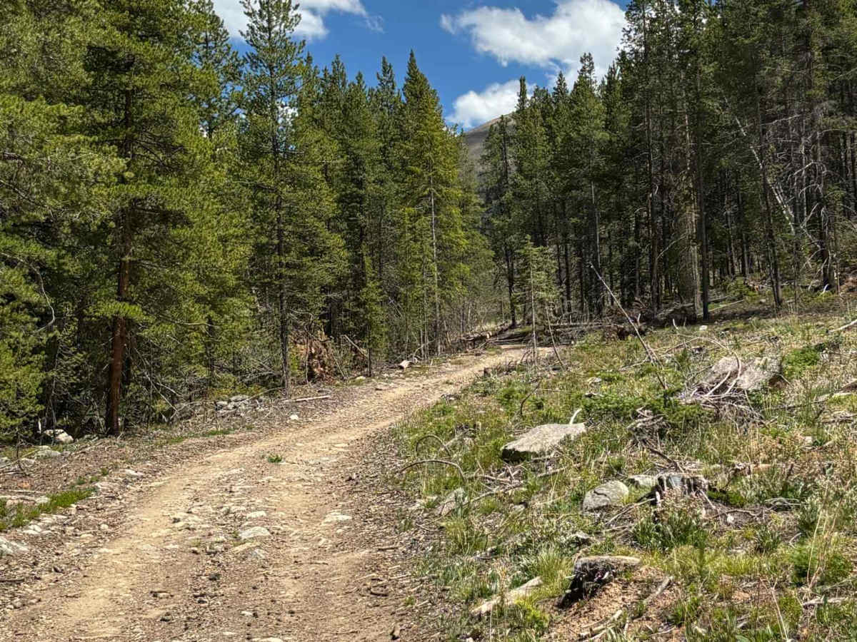 Sellar Lake Road photo 5