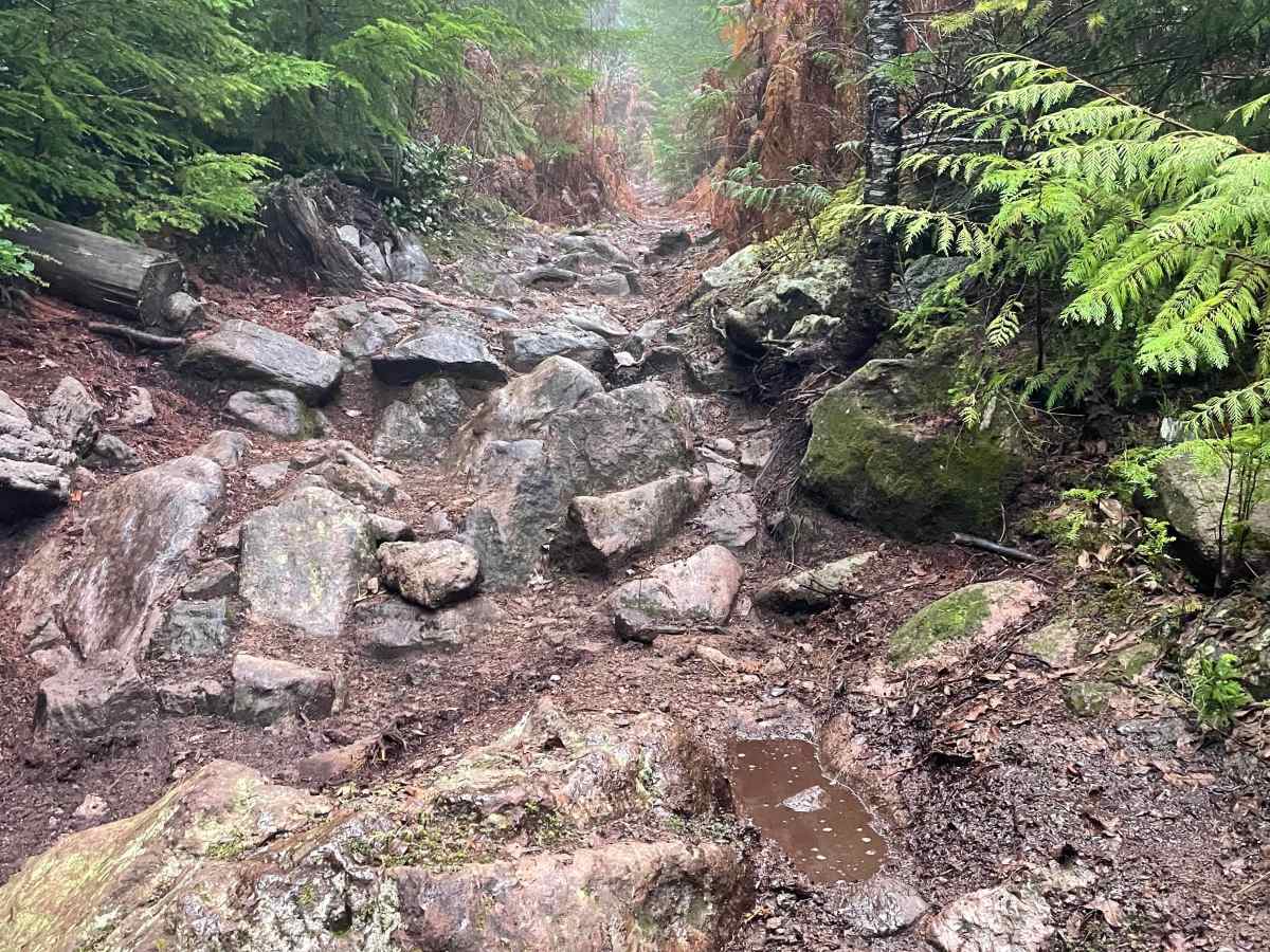 Cook Option trail photo