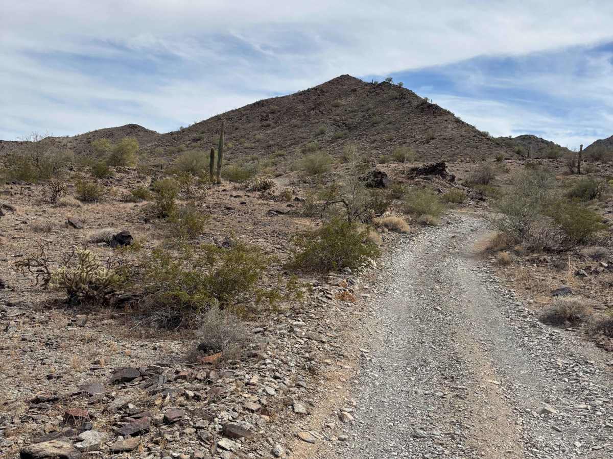 BLM 0127 photo 2