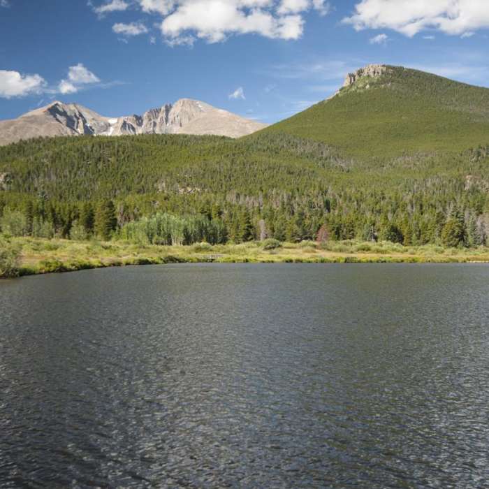 Near Lily Lake Loop Hike