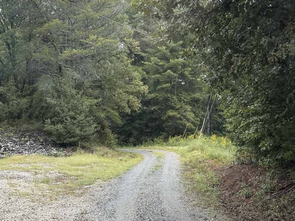 Pearcy Creek - FS 4101 trail photo