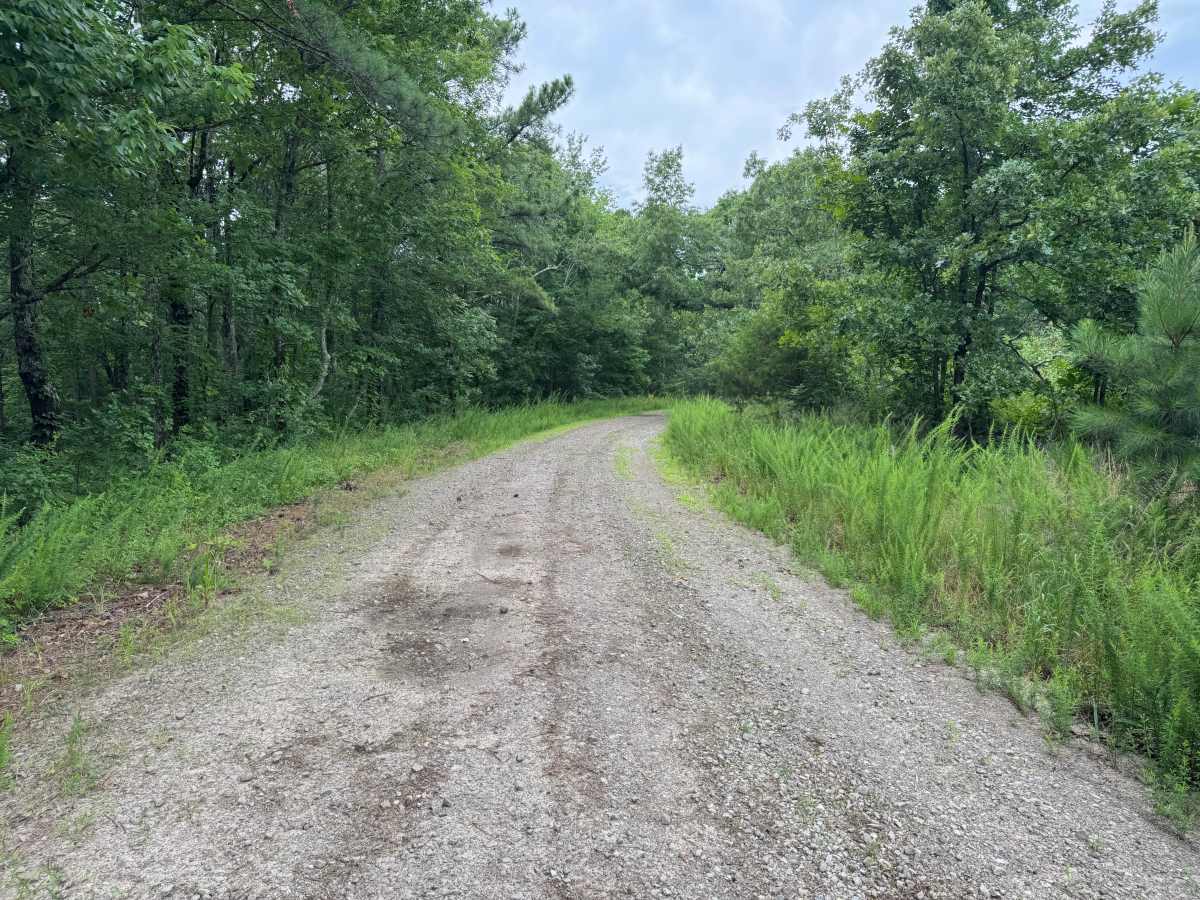 Devils Ridge photo 4