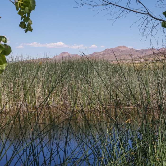 Near WHIN Dike Trail Near WHIN Dike Trail