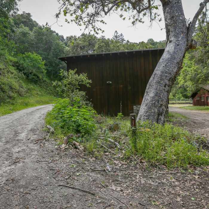 Near Fern Falls Hike
