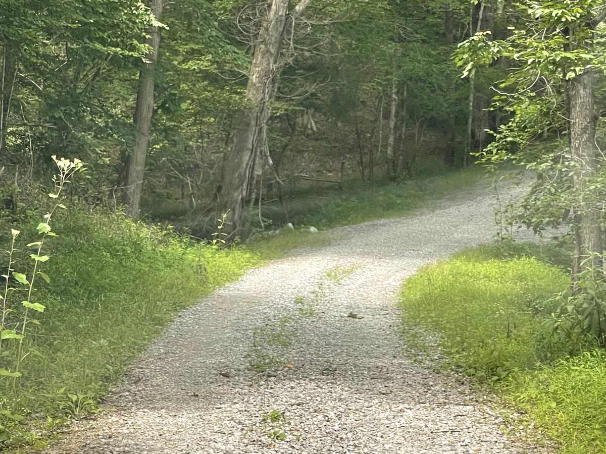 Bear Creek photo 4
