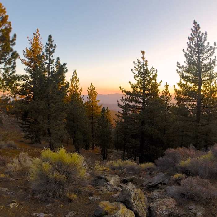 Near North Fork Lockwood Trail