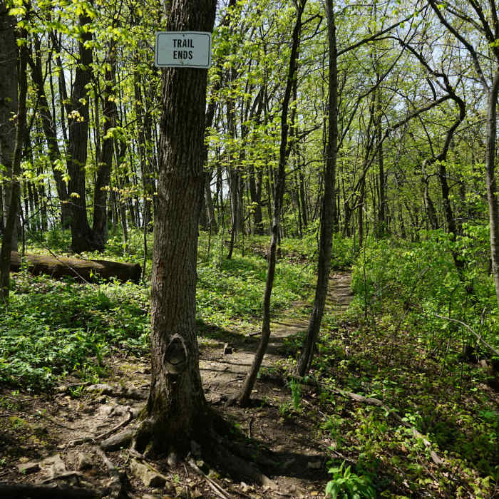 Near River Route Nature Trail