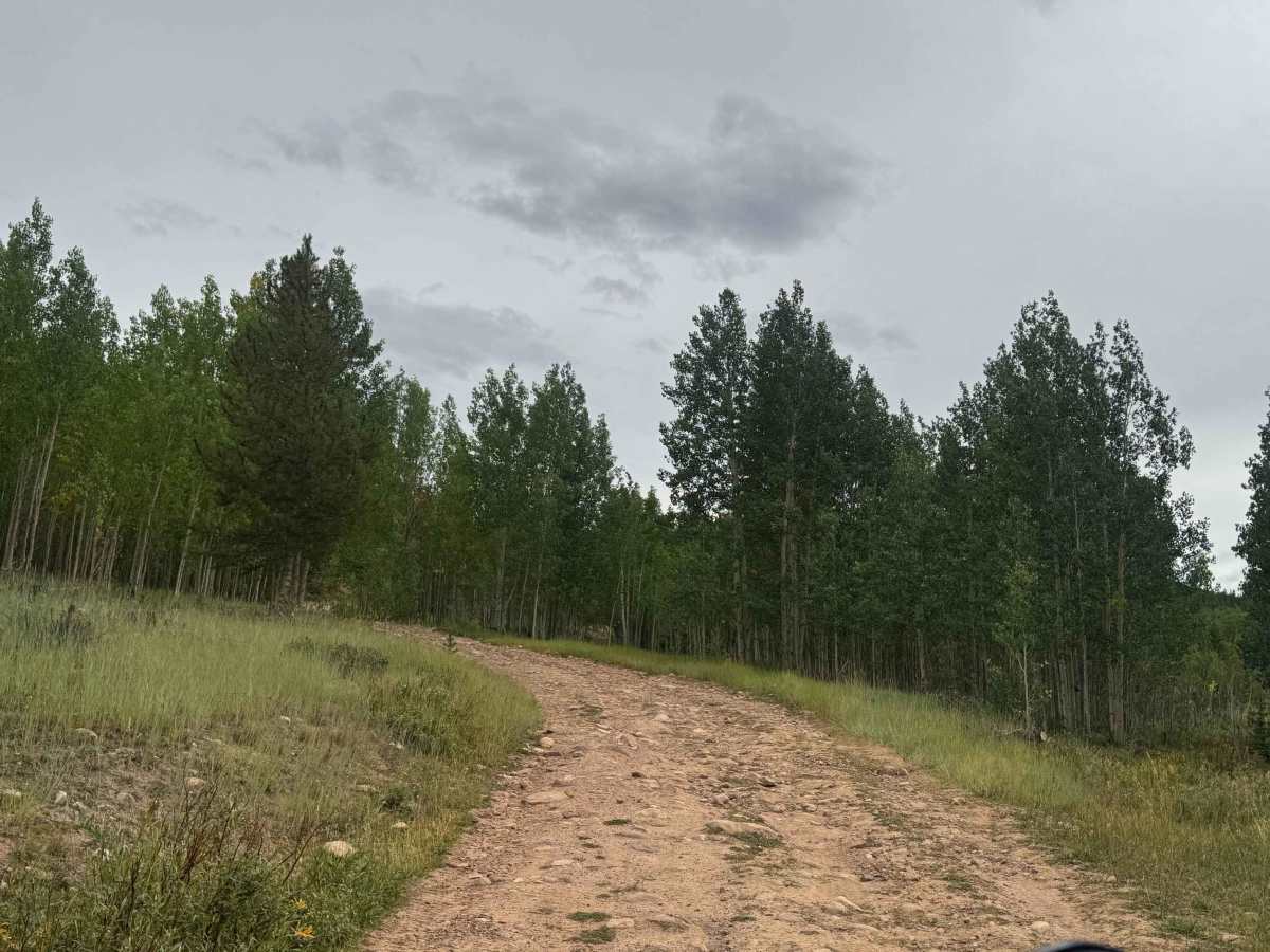 Carter Creek East photo 5